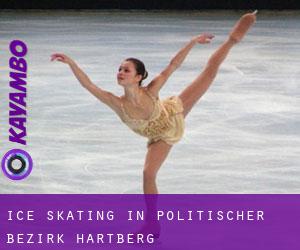 Ice Skating in Politischer Bezirk Hartberg