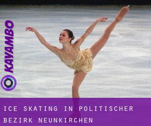 Ice Skating in Politischer Bezirk Neunkirchen