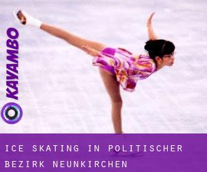 Ice Skating in Politischer Bezirk Neunkirchen