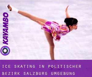 Ice Skating in Politischer Bezirk Salzburg Umgebung