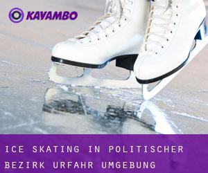 Ice Skating in Politischer Bezirk Urfahr Umgebung