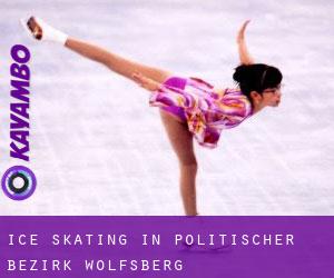 Ice Skating in Politischer Bezirk Wolfsberg