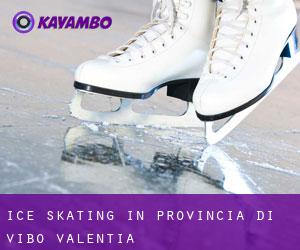 Ice Skating in Provincia di Vibo-Valentia