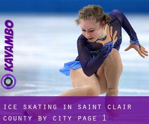 Ice Skating in Saint Clair County by city - page 1