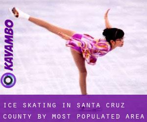 Ice Skating in Santa Cruz County by most populated area - page 1