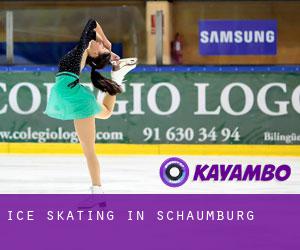 Ice Skating in Schaumburg