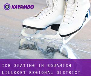 Ice Skating in Squamish-Lillooet Regional District