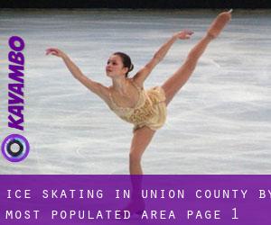 Ice Skating in Union County by most populated area - page 1