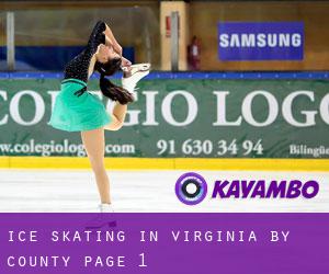 Ice Skating in Virginia by County - page 1