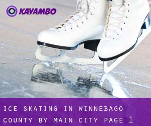 Ice Skating in Winnebago County by main city - page 1