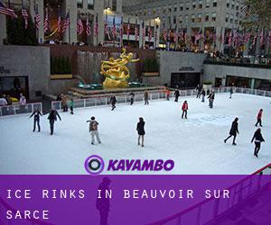 Ice Rinks in Beauvoir-sur-Sarce
