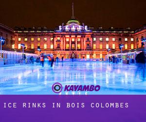 Ice Rinks in Bois-Colombes