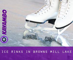 Ice Rinks in Browns Mill Lake