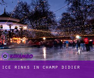 Ice Rinks in Champ-Didier