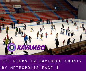 Ice Rinks in Davidson County by metropolis - page 1