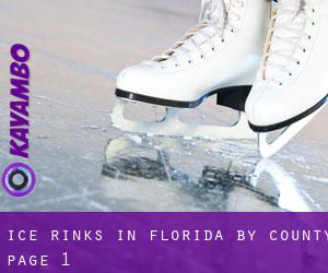 Ice Rinks in Florida by County - page 1