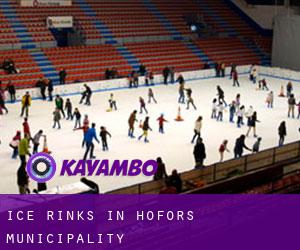 Ice Rinks in Hofors Municipality