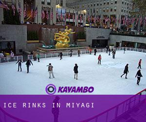 Ice Rinks in Miyagi