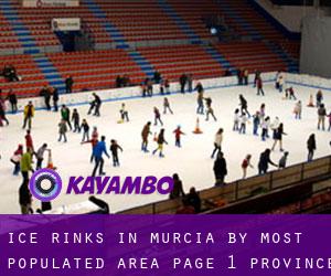 Ice Rinks in Murcia by most populated area - page 1 (Province)