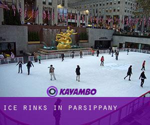 Ice Rinks in Parsippany