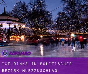Ice Rinks in Politischer Bezirk Mürzzuschlag