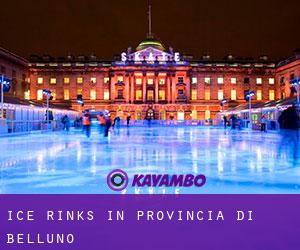 Ice Rinks in Provincia di Belluno