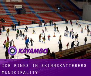 Ice Rinks in Skinnskatteberg Municipality