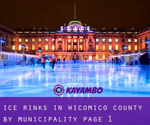 Ice Rinks in Wicomico County by municipality - page 1