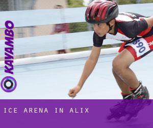 Ice Arena in Alix