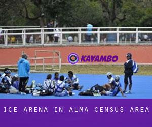 Ice Arena in Alma (census area)
