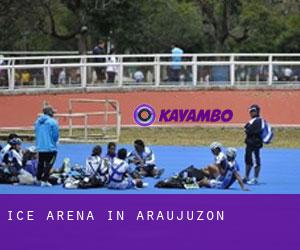 Ice Arena in Araujuzon