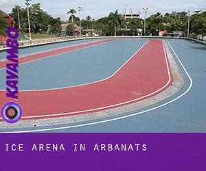 Ice Arena in Arbanats