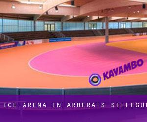 Ice Arena in Arbérats-Sillègue