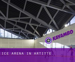 Ice Arena in Artitte