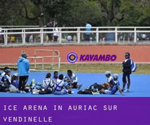Ice Arena in Auriac-sur-Vendinelle
