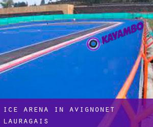Ice Arena in Avignonet-Lauragais