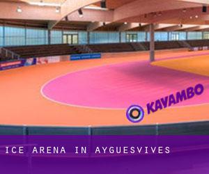 Ice Arena in Ayguesvives