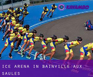 Ice Arena in Bainville-aux-Saules