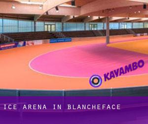 Ice Arena in Blancheface