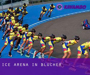 Ice Arena in Blucher