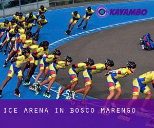 Ice Arena in Bosco Marengo