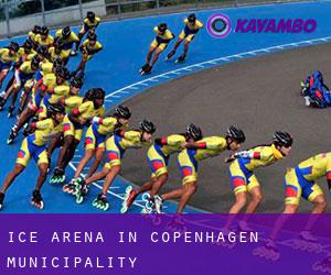 Ice Arena in Copenhagen municipality