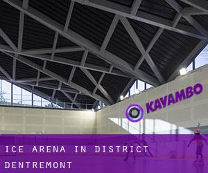 Ice Arena in District d'Entremont