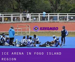 Ice Arena in Fogo Island Region