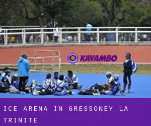 Ice Arena in Gressoney-La-Trinité