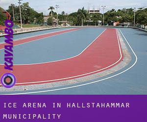 Ice Arena in Hallstahammar Municipality