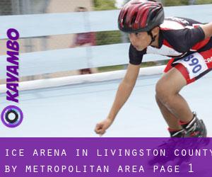 Ice Arena in Livingston County by metropolitan area - page 1