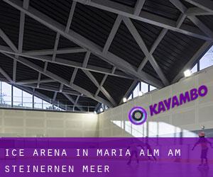 Ice Arena in Maria Alm am Steinernen Meer