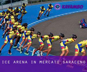 Ice Arena in Mercato Saraceno