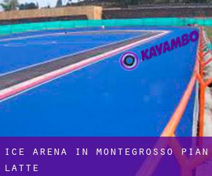 Ice Arena in Montegrosso Pian Latte